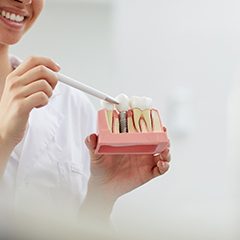 dentist showing a patient a dental implant model